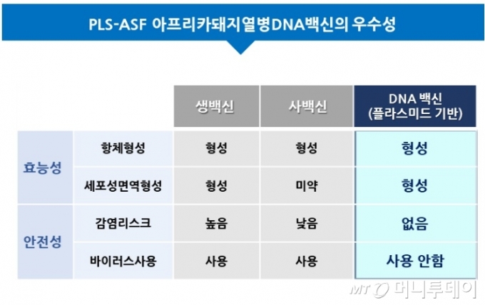 'DNA백신 접종' 새끼돼지, 아프리카돼지열병 이겨내