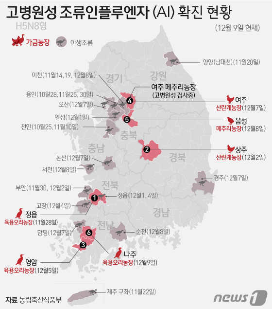 [사진] [그래픽]  H5N8형 조류인플루엔자(AI) 6번째 가금농장 확진