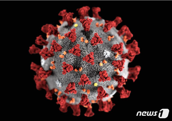 미국 질병통제예방센터(CDC)가 제작한 2019 신종 코로나바이러스 모형도. /ⓒ 로이터=뉴스1