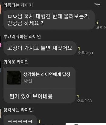 "길고양이 죽이고 낄낄, 카톡방 처벌해달라"…靑 청원 1만명 