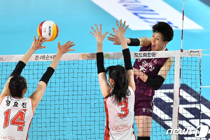 반환점 돈 프로배구, 남자 신인상은 김선호·박경민 '집안싸움' - 머니투데이 반환점 돈 프로배구, 남자 신인상은 김선호·박경민 '집안싸움' - 머니투데이