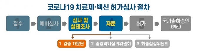 식약처 자문단 셀트리온 '코로나 치료제' 조건부 허가 제안