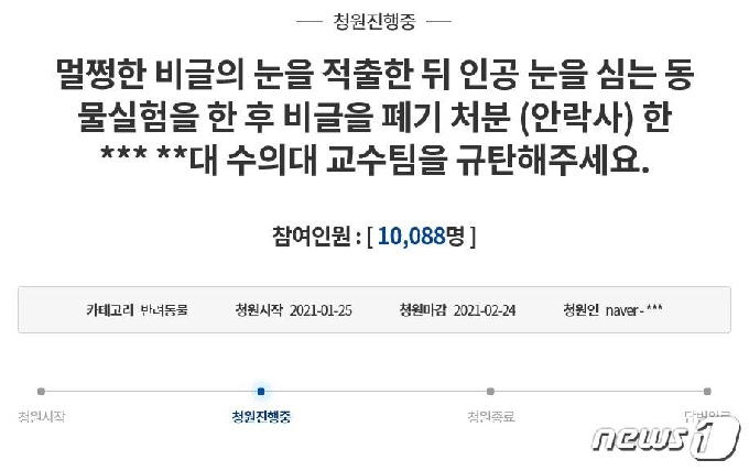 모 대학 논문 위해 멀쩡한 개 안구 적출 모 대학 논문 위해 멀쩡한 개 안구 적출