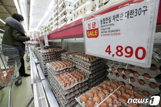 (서울=뉴스1) 박정호 기자 = 정부가 계란 값 안정을 위해 다음달 10일까지 14일간 정부 비축 달걀 180만개를 순차적으로 서울과 충청, 대전 등 48개 농협유통 직매장을 통해 판매를 시작한 28일 오후 서울 강남구 양재동 농협 하나로마트에서 고객들이 계란을 구입하고 있다. 정부 비축 달걀을 판매하는 농협유통은 농협안심 자연란 대란 30구를 4,890원(일 100판 한정), 농협안심 자연란 특란 30구는 5,100원(일 300판 한정)으로 시중가보다 30% 이상 저렴한 가격으로 판매한다. 단 점포별 일 판매 물량은 다를 수 있다. 2021.1.28/뉴스1