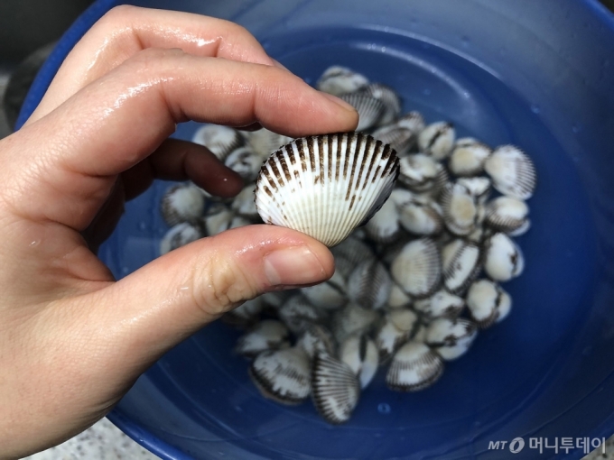 바다정보다잇다] 쫄깃 달큰한 맛을 자랑하는 겨울제철 꼬막의 모든 것 - 머니투데이