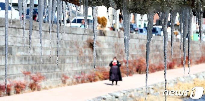 오늘의 날씨]대전·충남(5일, 금)…맑고 구름 많아 - 머니투데이