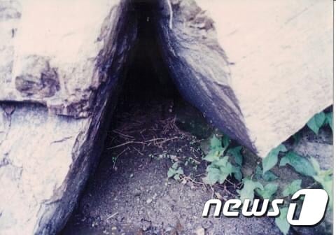 박일선 충북환경연대 대표가 촬영한 충북 충주 달천의 수달 서식지 모습.(박일선 대표 제공)2021.2.12/© 뉴스1