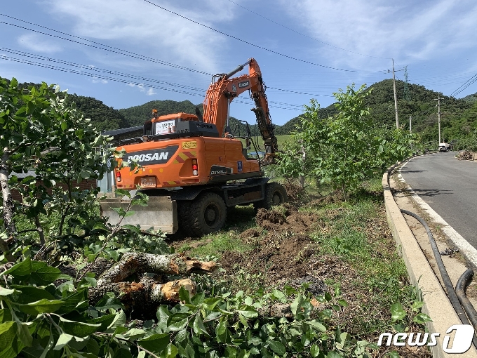 지난해 6월1일 충주시 산척면 과수화상병 발생 농가 과원 매몰 처리 모습.2020.11.30/© 뉴스1