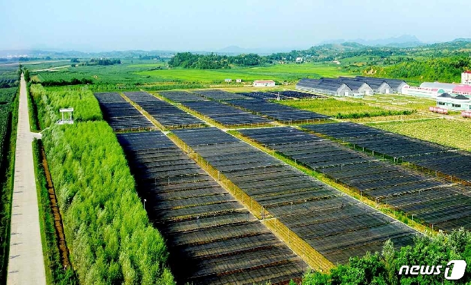 [사진] 전국적 산림복구 나선 북한 "모든 산들을 쓸모 있게"