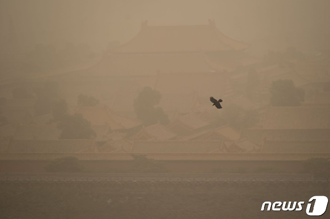 15일 베이징에서 까마귀 한 마리가 황사를 뚫고 하늘을 날고 있다. © AFP=뉴스1 © News1 김정한 기자