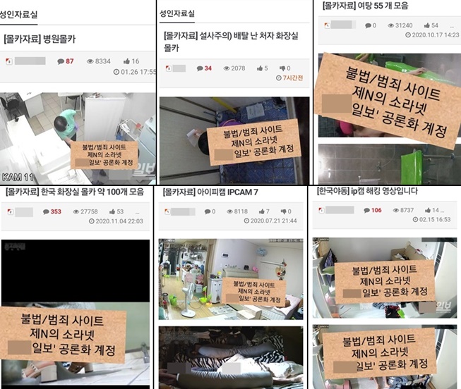 일반인 성관계 몰카까지…불법촬영물 제2의 소라넷 등장 머니투데이