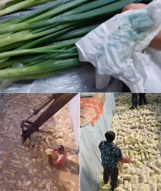 /사진=유튜브, 웨이보 캡처 