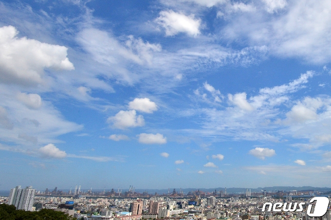 오늘의 날씨] 대구·경북(21일, 일)…흐리고 큰 일교차 - 머니투데이