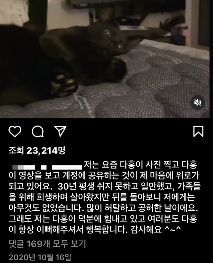 박수홍, 가족위해 희생했지만 남은건 고양이뿐?…눈물 펑펑 ...