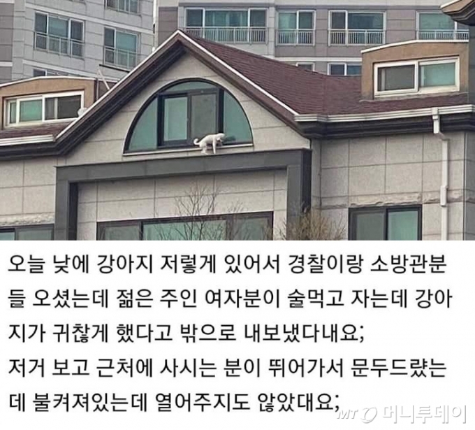 /사진=온라인 커뮤니티