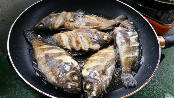 내장을 빼지 않고 구운 볼락구이. 맛있겠다. /사진=국립수산과학원