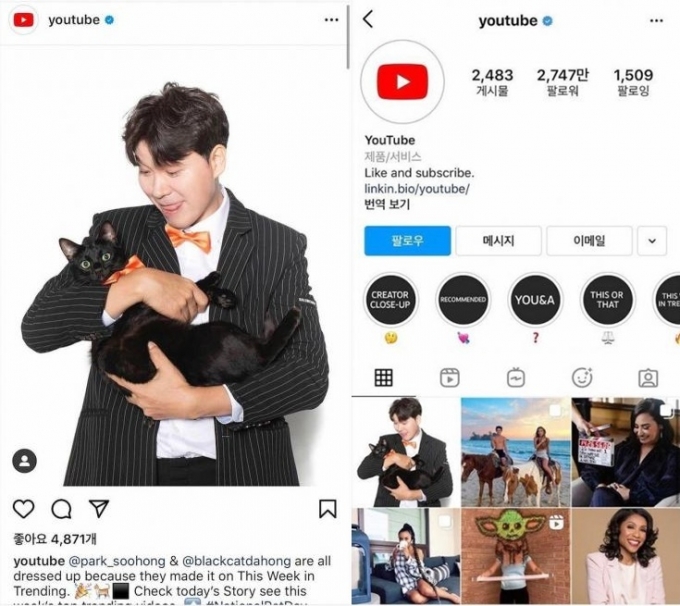 /사진=유튜브 인스타그램 화면