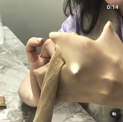 함소원이 스타킹 판매를 위해 홍보하는 모습 / 사진=함소원 인스타그램