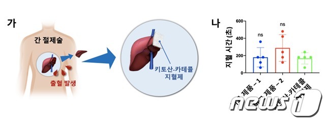간 절제 환자 대상 임상시험에서 키토산-카테콜의 지혈효과 그림과 표. <가> 그림은 암 등으로 인한 간 절제 수술 후, 절단면 출혈에 키토산-카테콜 지혈제를 적용한 후 지혈 효과 측정 모습(부산대학교 병원-이노테라피-KAIST 공동연구). <나>표는 키토산-카테콜 지혈제의 지혈 시간 비교. © 뉴스1