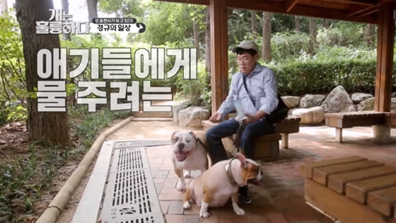 사진출처='개는 훌륭하다' 방송캡처