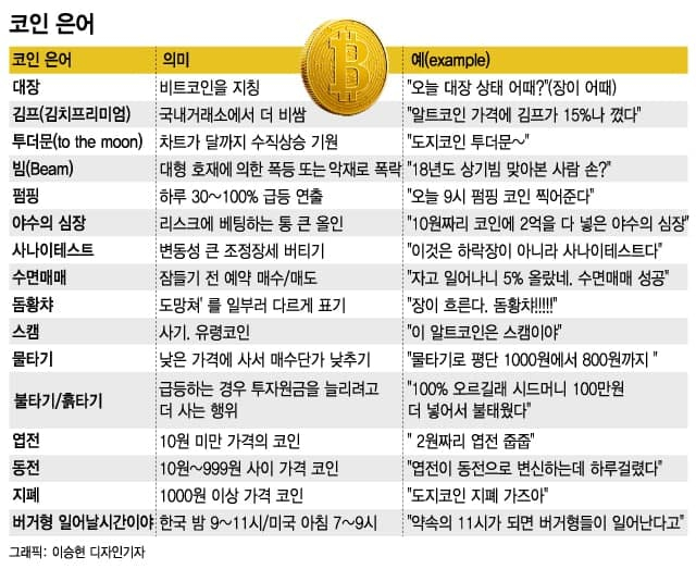 "투더문" "돔황차" 무슨 말이야?…코인판 신조어 리스트