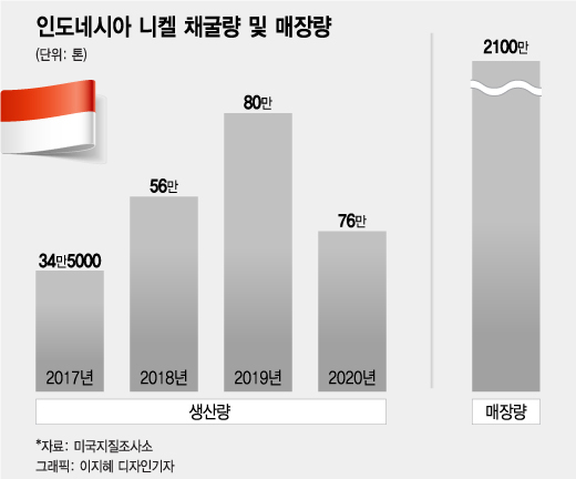 "니켈을 확보하라" '매장량 1위' 인도네시아 찾는 배터리 업체들