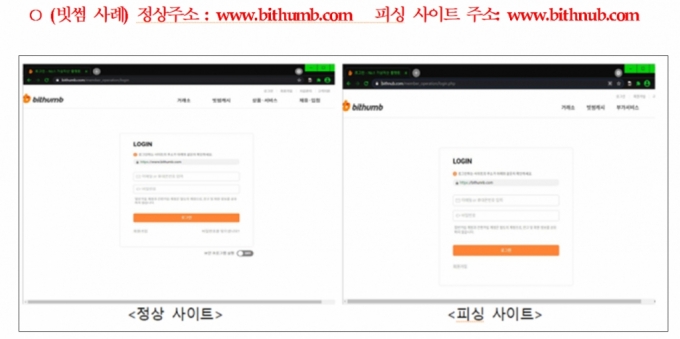"내 코인이 사라졌다"…가상자산 계좌 이렇게 털렸다