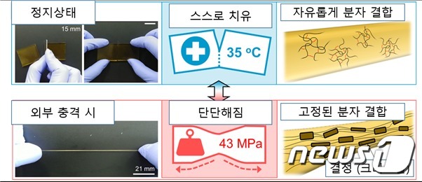 정지 시에는 불규칙한 수소결합으로 부드러워 자가치유가 잘되며(위), 외부에서 충격이 발생하였을때는 규칙적인 수소결합으로 단단해진다(아래). (화학연 제공) © 뉴스1