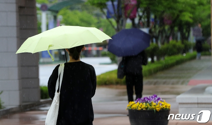 오늘의 날씨] 전북(11일, 화)…오전까지 5~40㎜ 비 - 머니투데이