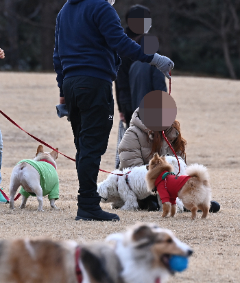 '입마개' 하는 개 아니라고요