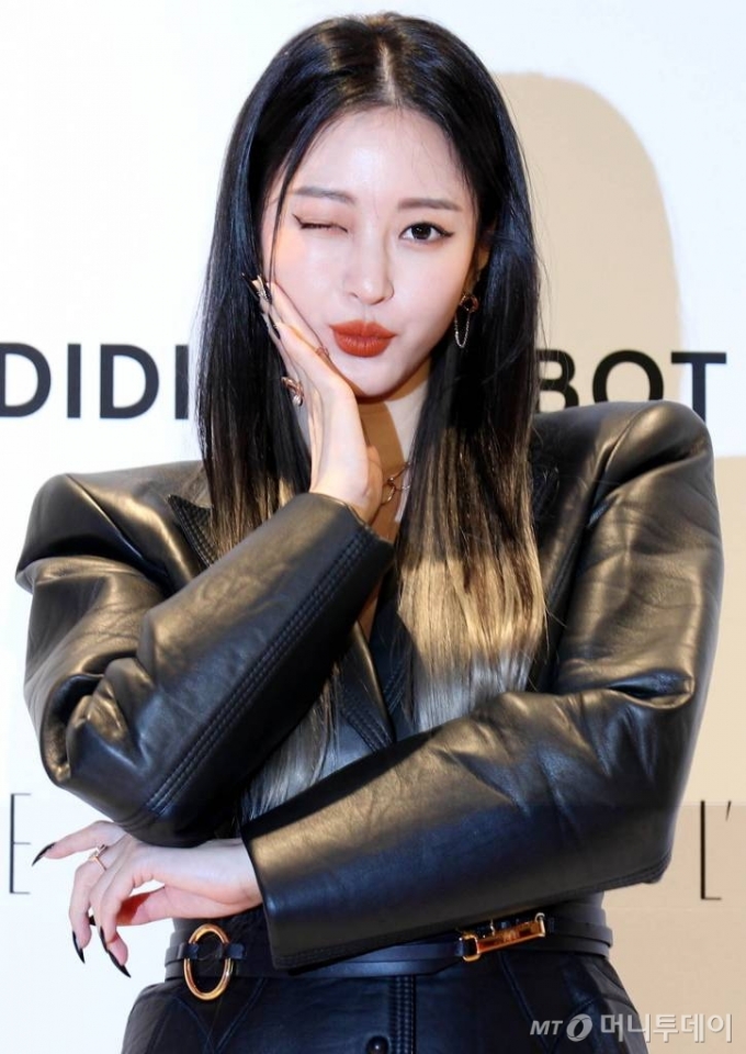 태양 가죽 피부