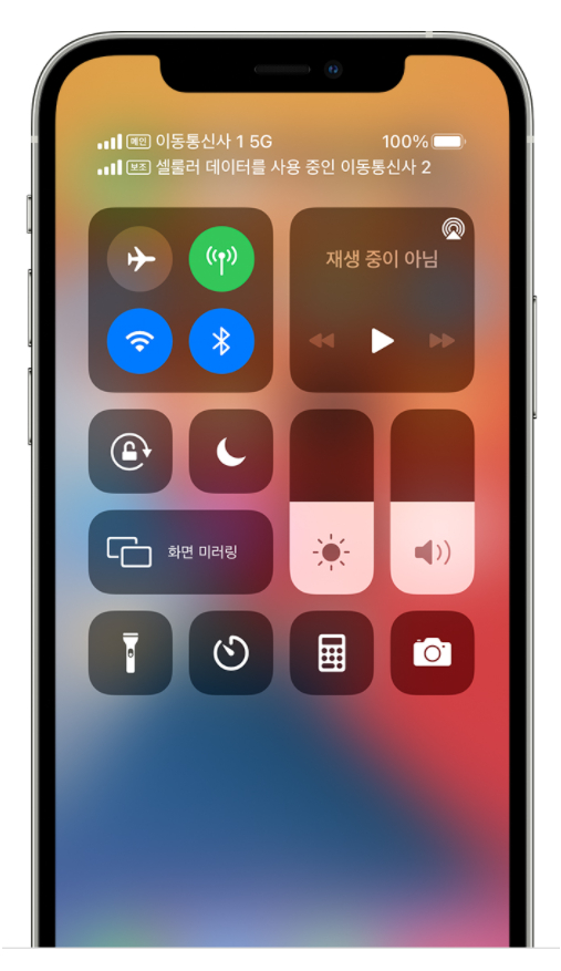 메인회선으로 기존 유심을 쓰고 데이터용으로 e심을 적용한 스마트폰. /사진=애플 홈페이지