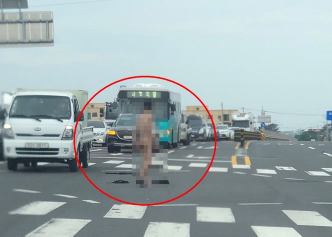 2일 오후 제주시 애월읍 신엄리 일주도로 인근 사거리 한 복판서 한 남성이 옷을 걸치지 않고 서 있다.  /사진=뉴시스(독자제공)