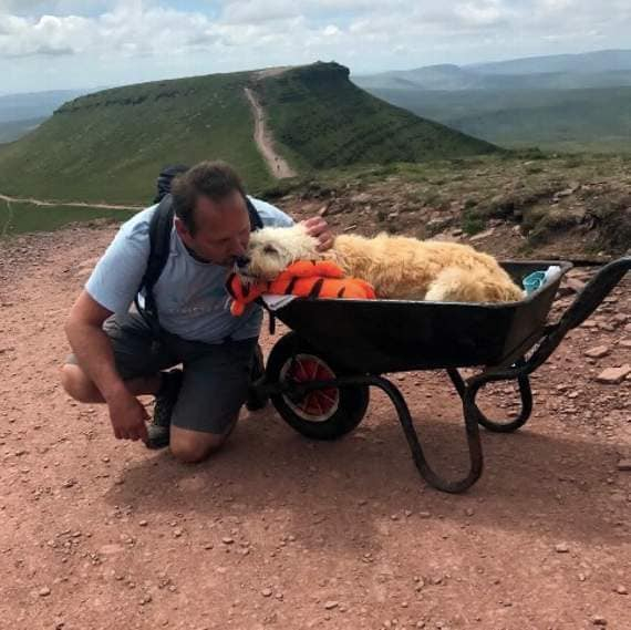 "잘자, 친구"…10년지기 반려견과 '마지막 여행' 떠난 남자 머니투데이