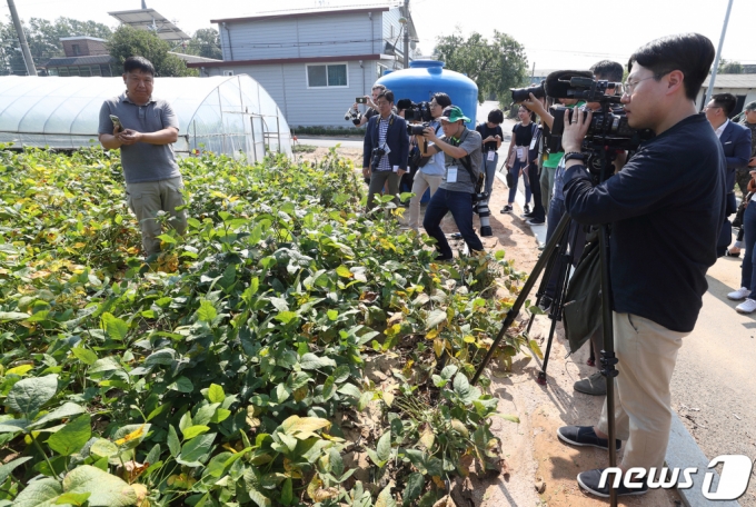 2019년 9월 30일 ‘DMZ 대성동 5G 빌리지’에서 대성동 주민이 외신 기자단을 대상으로 KT의 5G 스마트폰을 통한 원격 농지 관리 ‘노지 스마트팜’ 시스템을 설명하며, 장단콩 밭에 물을 주고 있다. 노지 스마트팜 시스템을 통해 스마트폰으로 스프링클러를 작동시키고, 토양 상태를 확인해 물과 영양분을 공급할 수 있다. (KT 제공) 2019.9.30/뉴스1