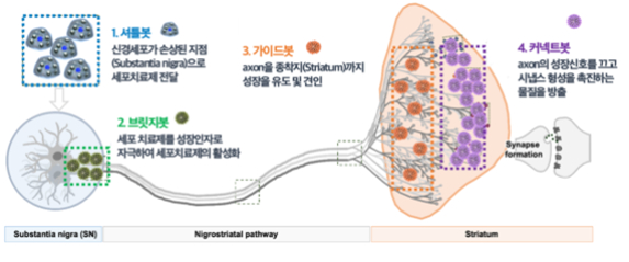 신경망 재건 과정 개요도. /자료=과학기술정보통신부