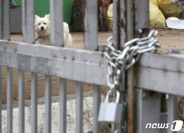 /사진=뉴스1