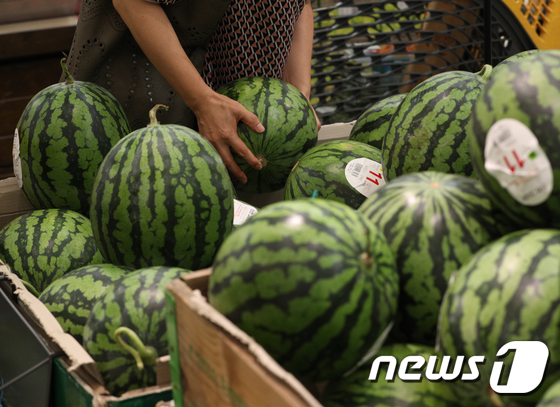 서울의 한 대형마트에서 판매 중인 수박들/사진=뉴스1 