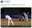 롭 프리드먼이 센가 코다이가 2일 일본 요코하마 스타디움에서 던진 포크볼을 두고 유령 포크라고 칭했다./사진=롭 프리드먼 공식 SNS 캡처