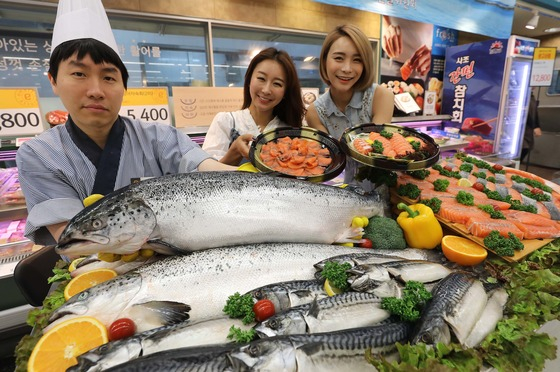 노르웨이산 양식 연어. 앞줄의 고등어보다 훨씬 큰 덩치를 자랑한다. /사진=이마트