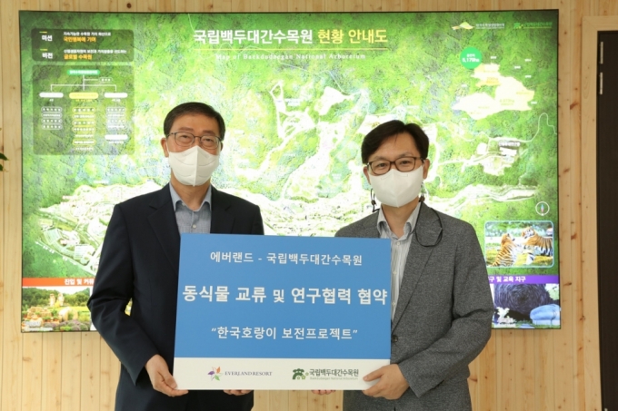 에버랜드 동물원(원장 정동희, 우측)과 국립백두대간수목원(원장 이종건)이동식물 교류 및 연구협력 협약을 맺고 그 일환으로 에버랜드에 살고 있는 한국호랑이태범, 무궁 남매의 백두대간수목원 '백두산호랑이보존센터' 유학 프로젝트를오는 10월 중순 추진하기로 했다.