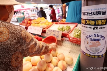 코로나 상생 지원금 접수 시작