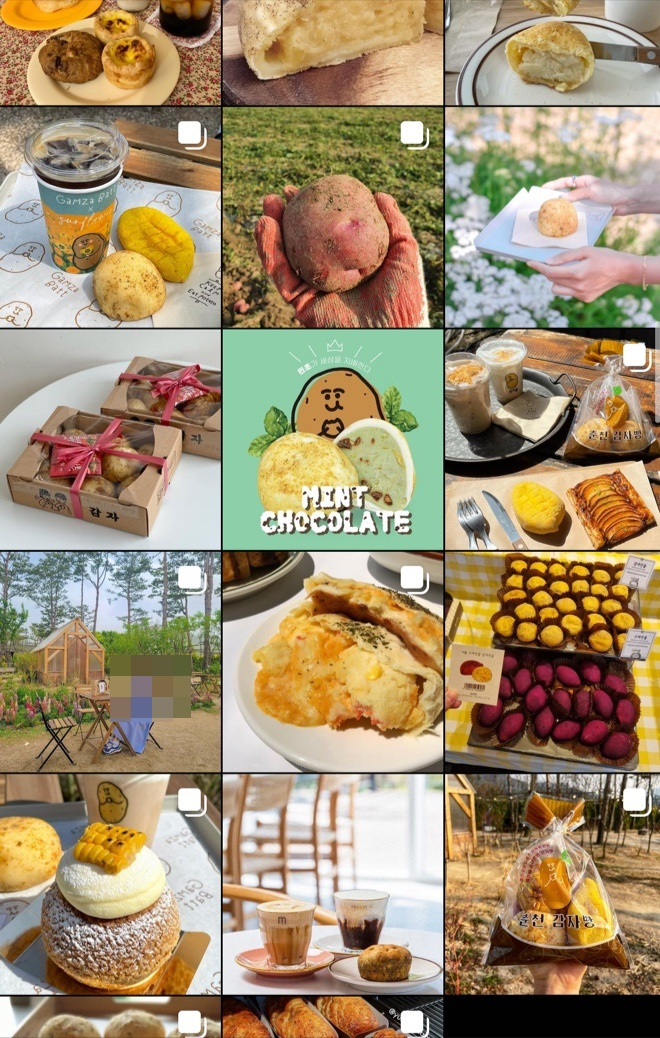 SNS 인스타그램에 올라온 춘천 감자빵 관련 피드. /사진=인스타그램 캡처