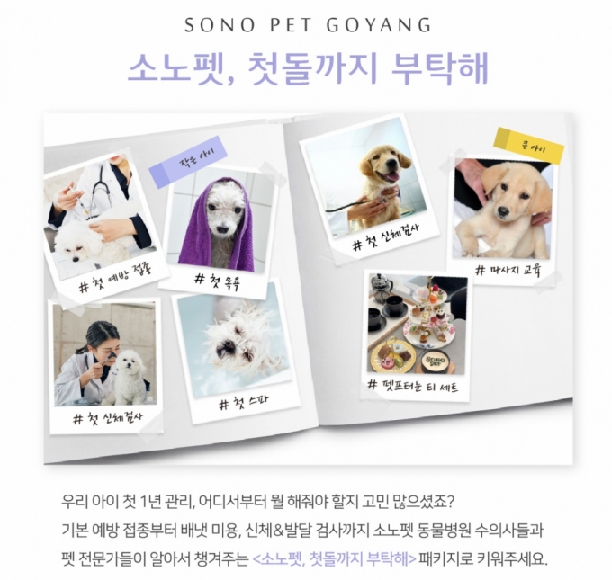 소노펫, 반려견 1년간 원스톱 건강관리 패키지 선보인다