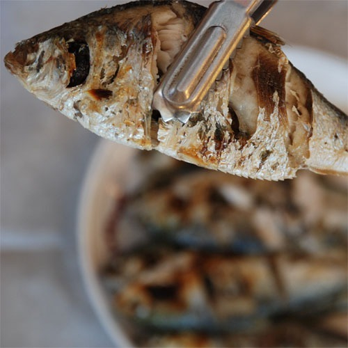 고소한 맛이 환상적인 가을 전어구이. /사진=수협쇼핑
