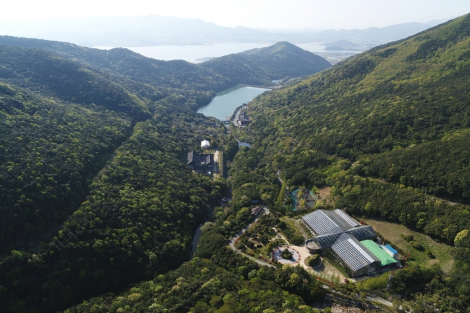국립완도난대수목원 조성지인 완도수목원 전경