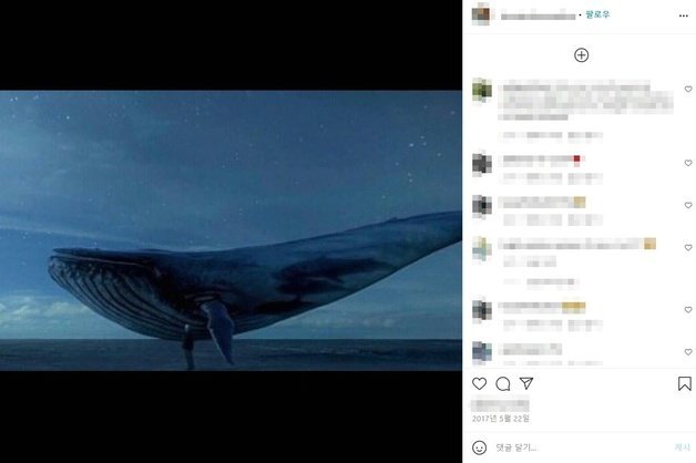 지난 2017년 대왕고래게임으로 사망한 러시아의 한 여학생이 죽기 전 자신의 소셜미디어에 올린 고래 사진. /사진=뉴스1