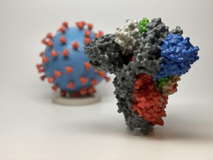 미국 국립보건원(NIH)이 지난해 3D 프린팅으로 코로나19(좌측)와 스파이크 단백질(우측)을 형상화한 모습. / 사진=미국국립보건원(NIH) 제공