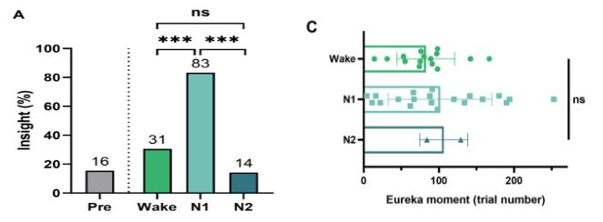   п(INSERM) ڵ й   .   N1 鿡  ̵  Ǯ ɷ 83% Ÿ. ݸ N1     N2 鿡 14% ظ  ذ߰, ִ ׷ Ǯ ɷ 31% ̾. / =̾ ý(Science Advances)