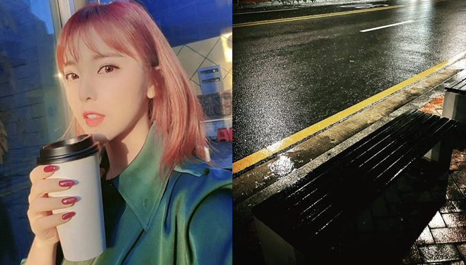 /사진=홍진영 인스타그램